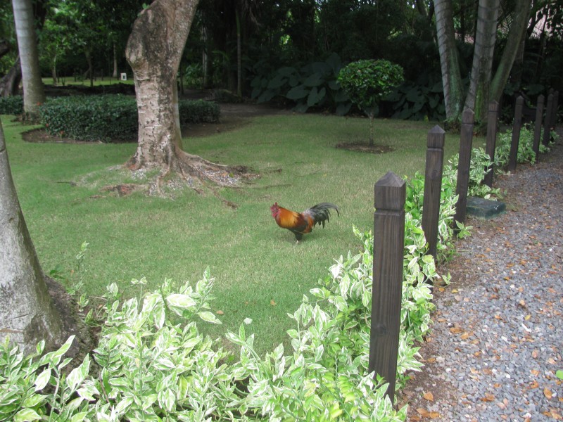 Dominican Republic 350.jpg